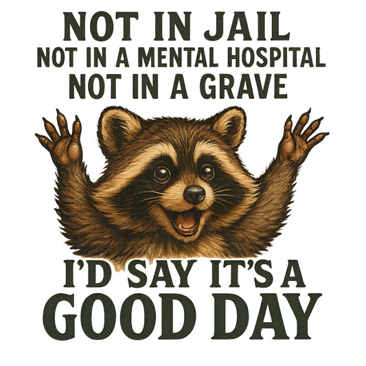DTF Heat Transfer Iron On Sticker, Humorous Raccoon Quote Graphic, for Funny Apparel and Casual Decor