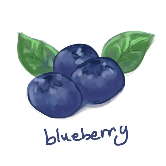 DTF Heat Transfer Iron On Sticker, Watercolor Blueberry Cluster with Leaves, for All - American Fruit - Themed Kitchen & Backyard BBQ Decor