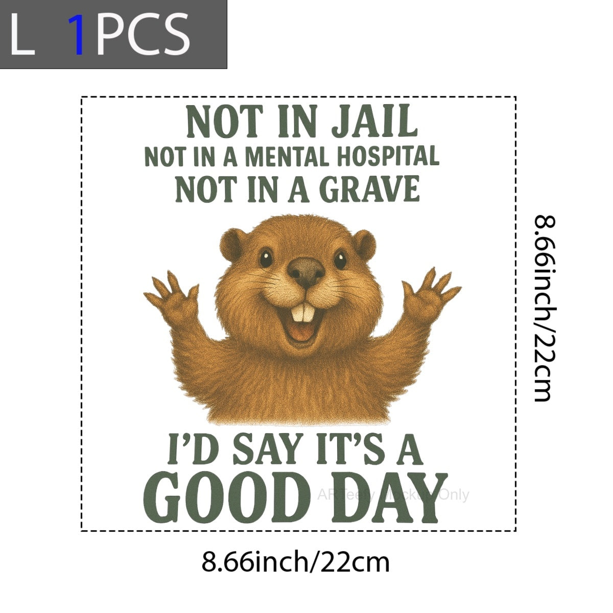 DTF Heat Transfer Iron On Sticker, Humorous & Sarcastic Quote Graphic, For Lighthearted Apparel And Daily Mood Boosts