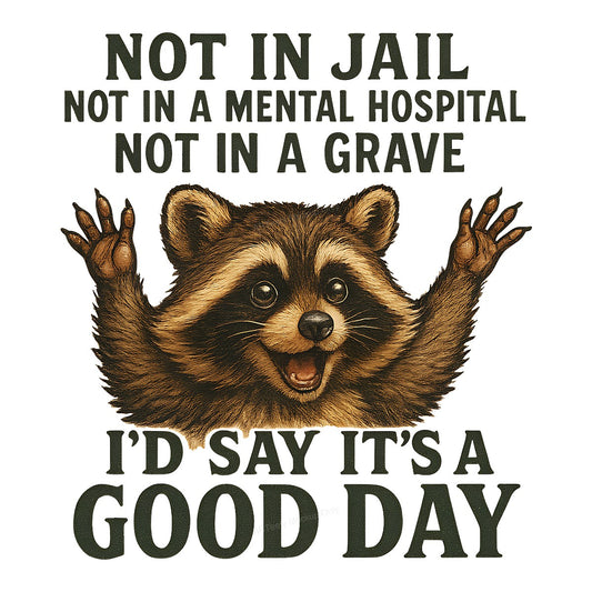 Funny Graphic Transfer Not In Jail Raccoon Good Day Quote Cartoon Design for T Shirts Hoodies and Gifts - 1