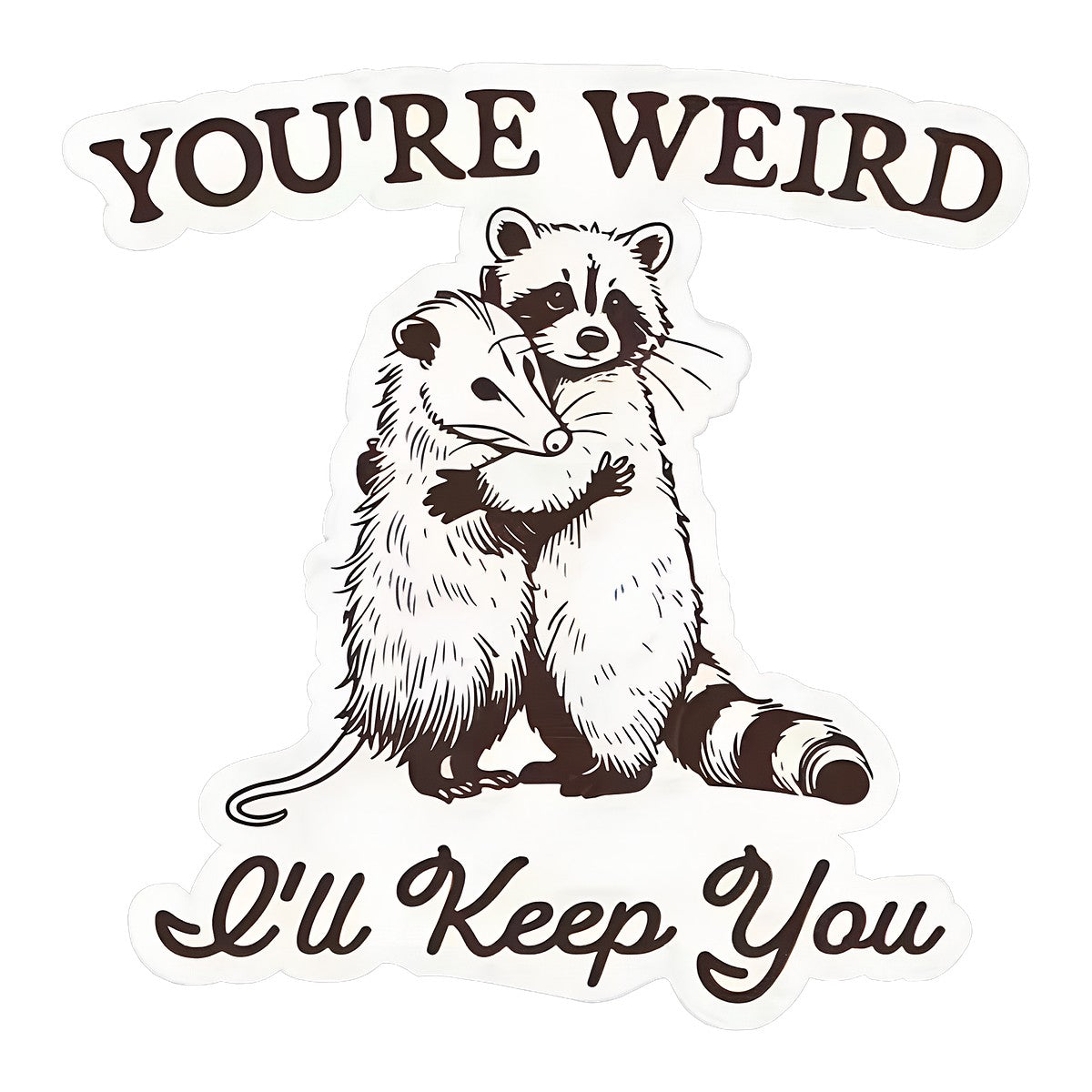 DTF Heat Transfer Iron On Sticker Cute Raccoon and Opossum Hugging Graphic for Halloween Decorations T Shirts Hoodies and Home Decor - 1