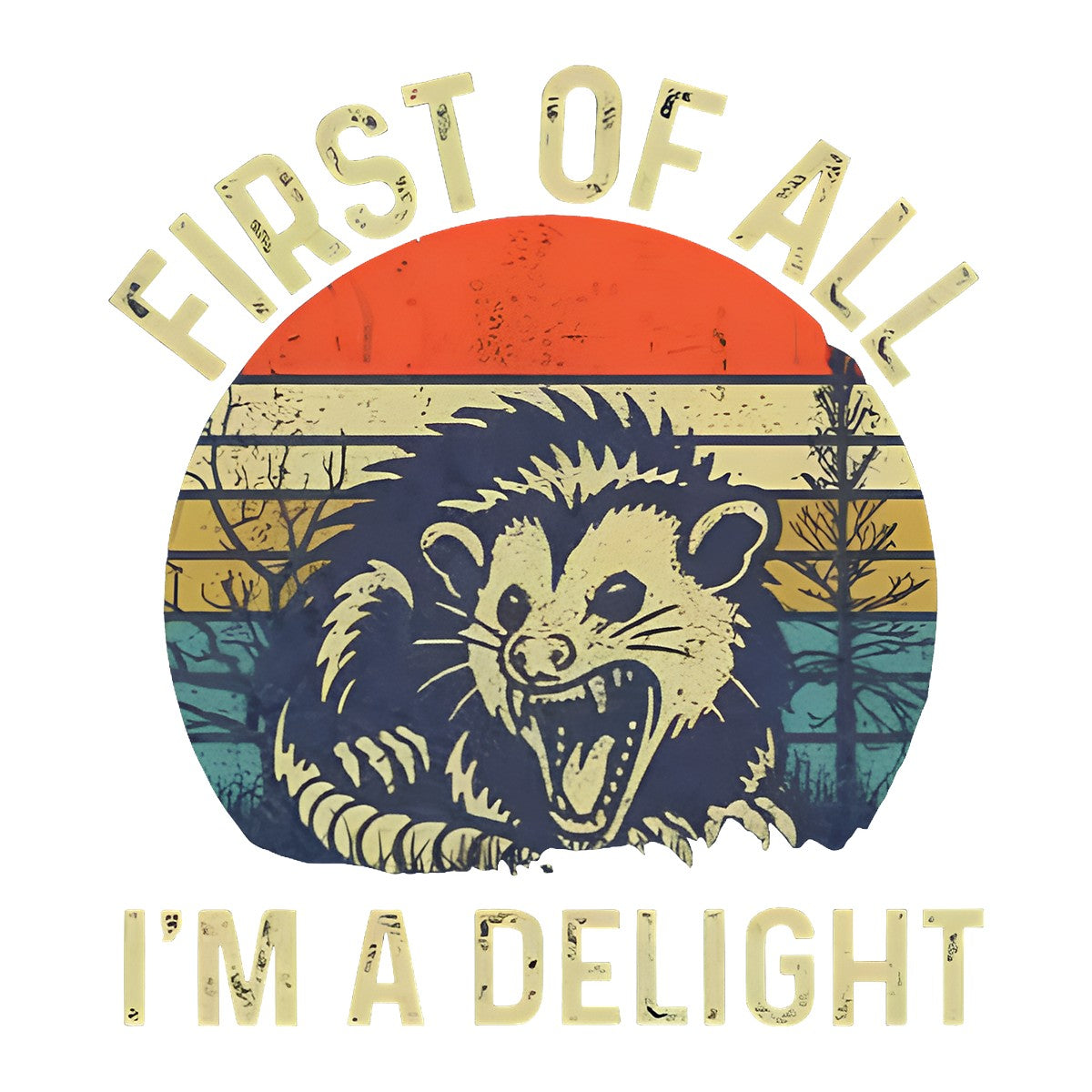 DTF Heat Transfer Iron On Sticker Vintage Possum Retro Sunset Graphic for Halloween Decorations T Shirts Hoodies and Home Decor - 1