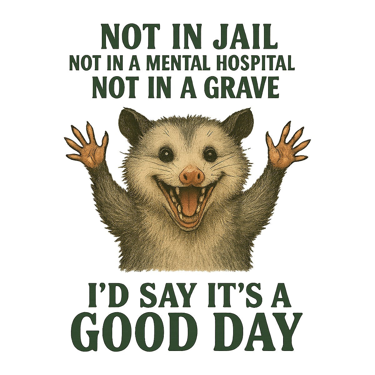 DTF Heat Transfer Iron On Sticker Funny Opossum Saying It Is a Good Day Graphic for T Shirts Hoodies Bags and Halloween Home Decor - 1