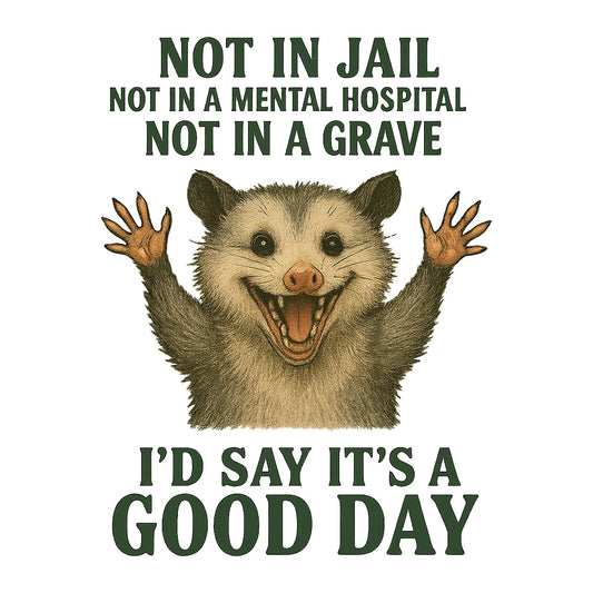 DTF Heat Transfer Iron On Sticker Funny Opossum Saying It Is a Good Day Graphic for T Shirts Hoodies Bags and Halloween Home Decor - 1