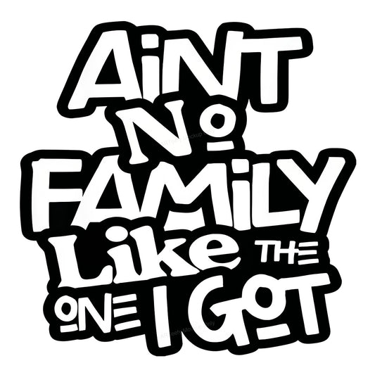 DTF Transfer Ain’t No Family Like The One I Got Bold Handwritten Quote Graphic for T Shirts Hoodies and Gifts - 1