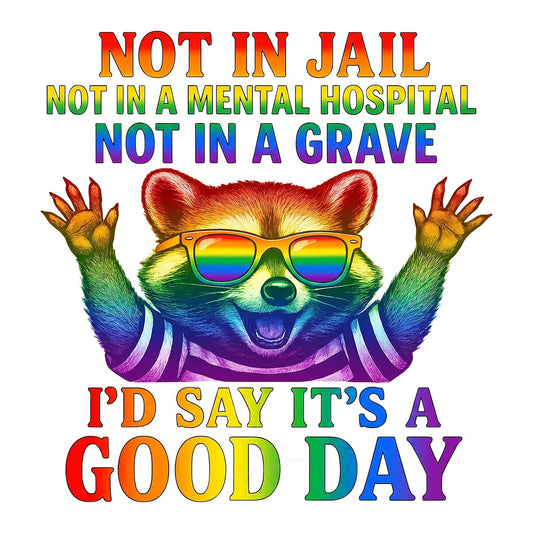 Funny Graphic Transfer Not In Jail Not In A Mental Hospital Not In A Grave Quote Rainbow Raccoon Design for T Shirts Hoodies and Tote Bags - 1