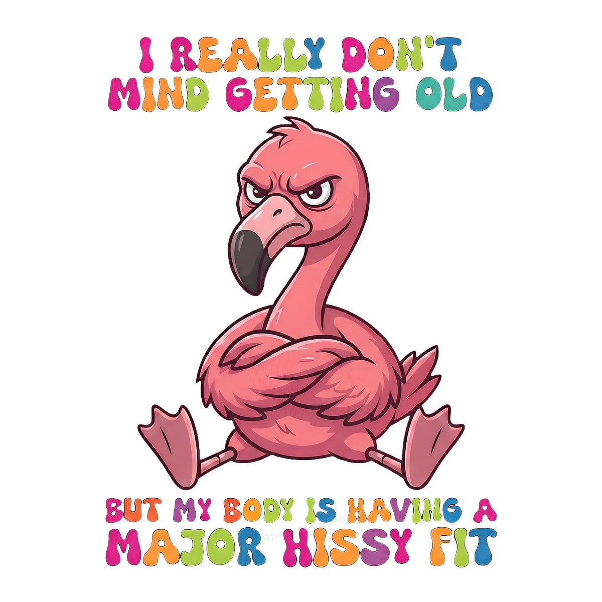 Funny Graphic Transfer Grumpy Flamingo I Really Don’t Mind Getting Old Quote Cartoon Design for T Shirts Hoodies and Gifts - 1