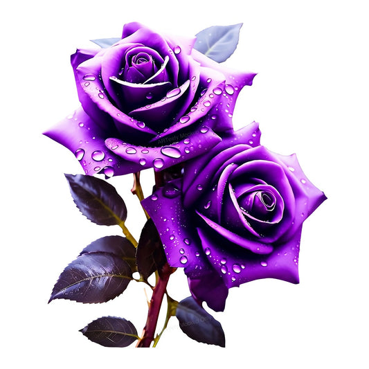 DTF Heat Transfer Purple Rose Bouquet with Water Droplets Graphic for T Shirts Hoodies and Tote Bags - 1