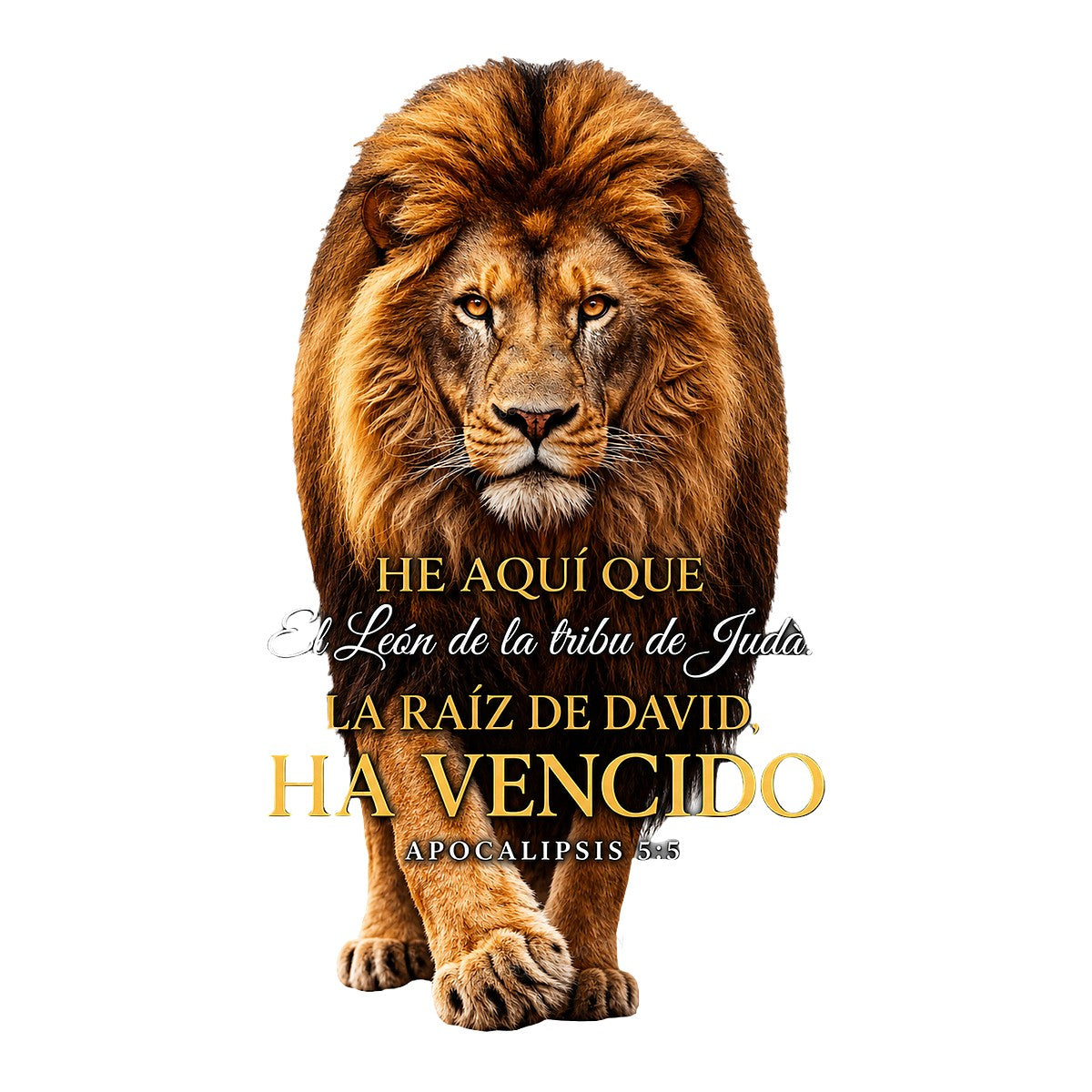 Christian Heat Transfer Lion of Judah Spanish Bible Verse Graphic for T Shirts Hoodies and Christian Apparel - 1