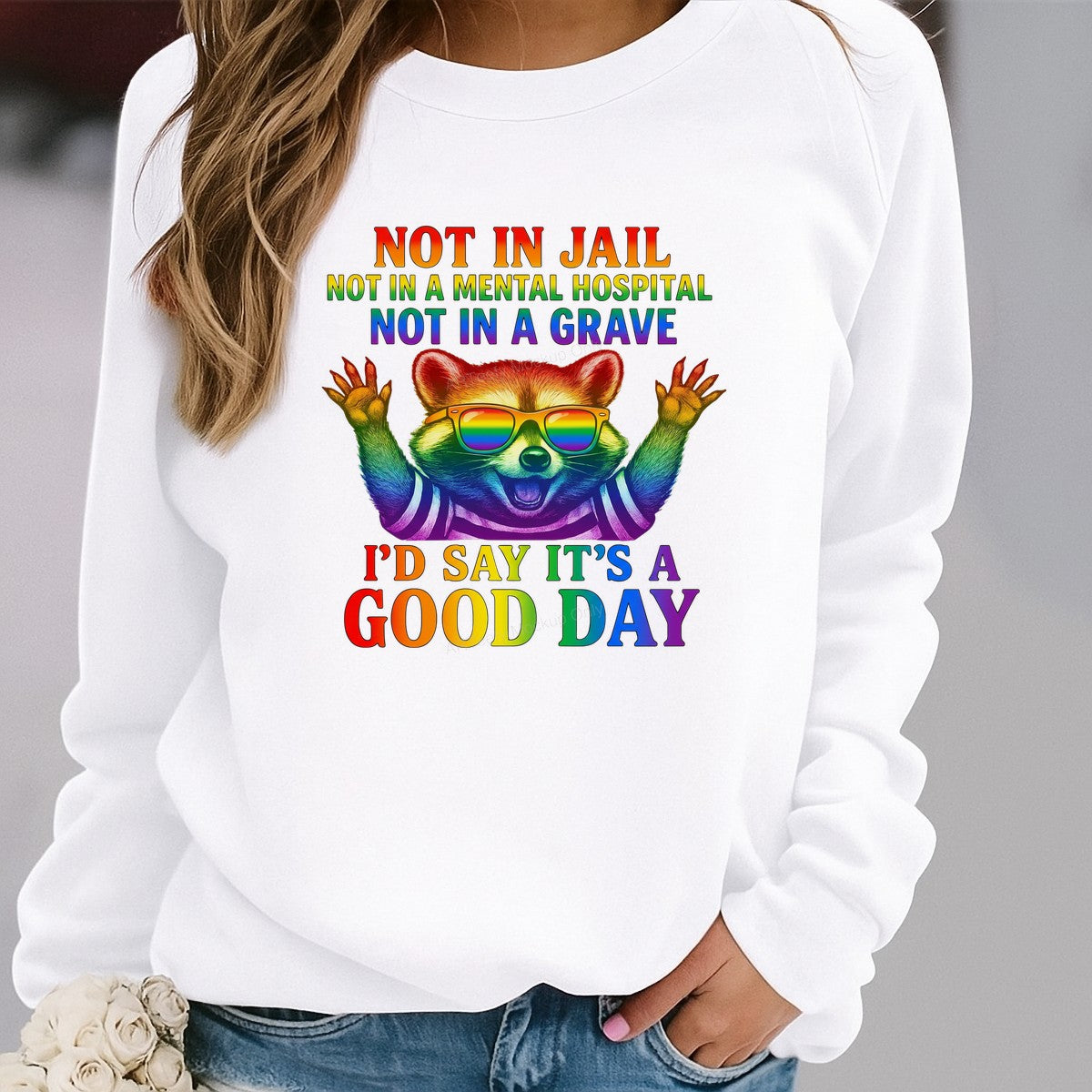 Funny Graphic Transfer Not In Jail Not In A Mental Hospital Not In A Grave Quote Rainbow Raccoon Design for T Shirts Hoodies and Tote Bags - 2