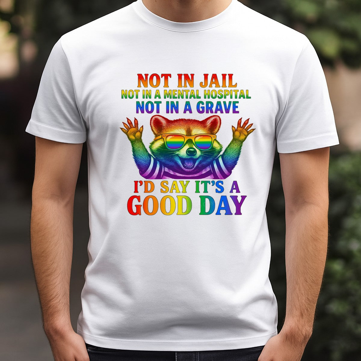Funny Graphic Transfer Not In Jail Not In A Mental Hospital Not In A Grave Quote Rainbow Raccoon Design for T Shirts Hoodies and Tote Bags - 3