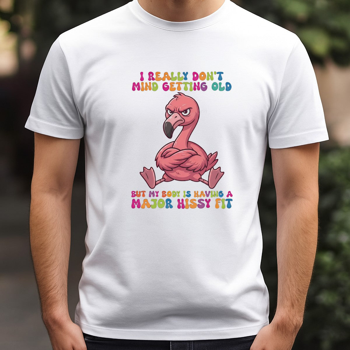 Funny Graphic Transfer Grumpy Flamingo I Really Don’t Mind Getting Old Quote Cartoon Design for T Shirts Hoodies and Gifts - 3