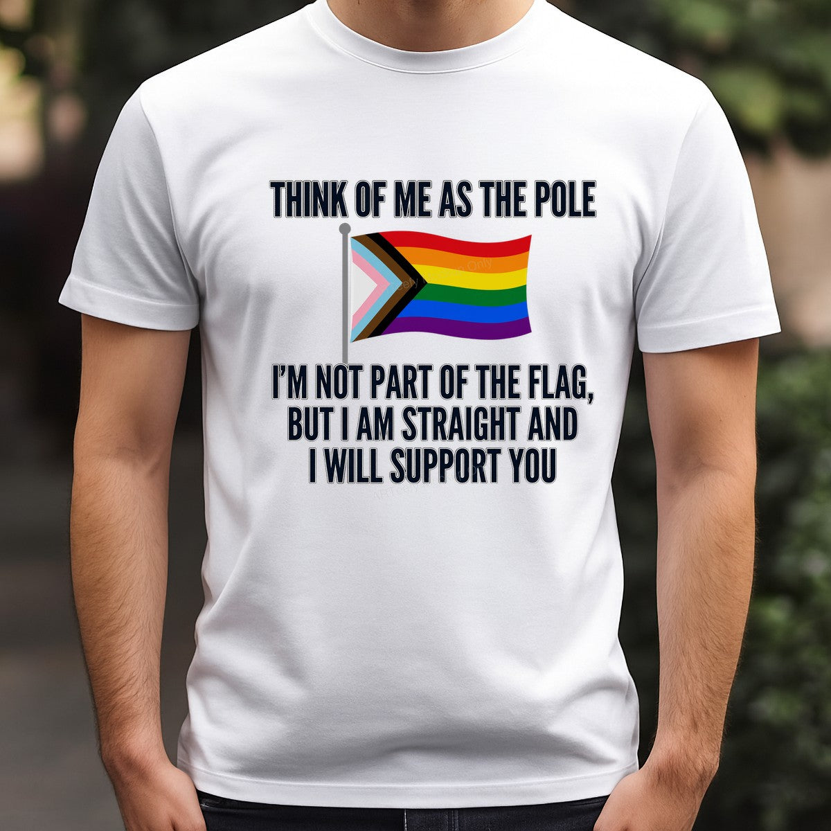 DTF Heat Transfer Think of Me as the Pole Straight Ally Pride Flag Quote Graphic for T Shirts Hoodies and Tote Bags - 3
