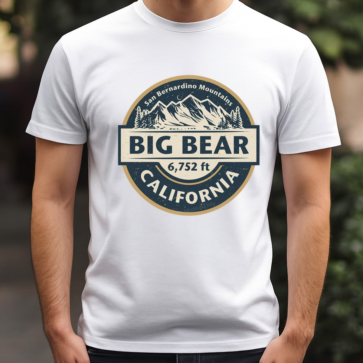 DTF Transfer Big Bear California Mountain Badge Vintage Outdoor Graphic for T Shirts Hoodies and Camping Apparel - 3