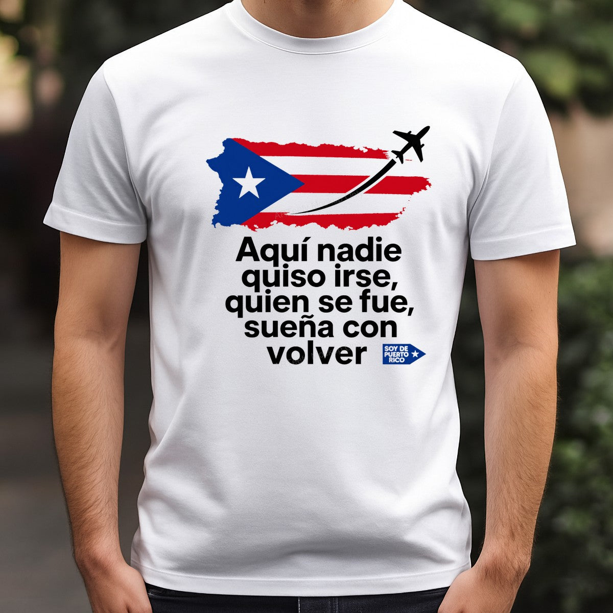 DTF Heat Transfer Puerto Rico Flag Quote Travel Plane Graphic for T Shirts Hoodies and Tote Bags - 3