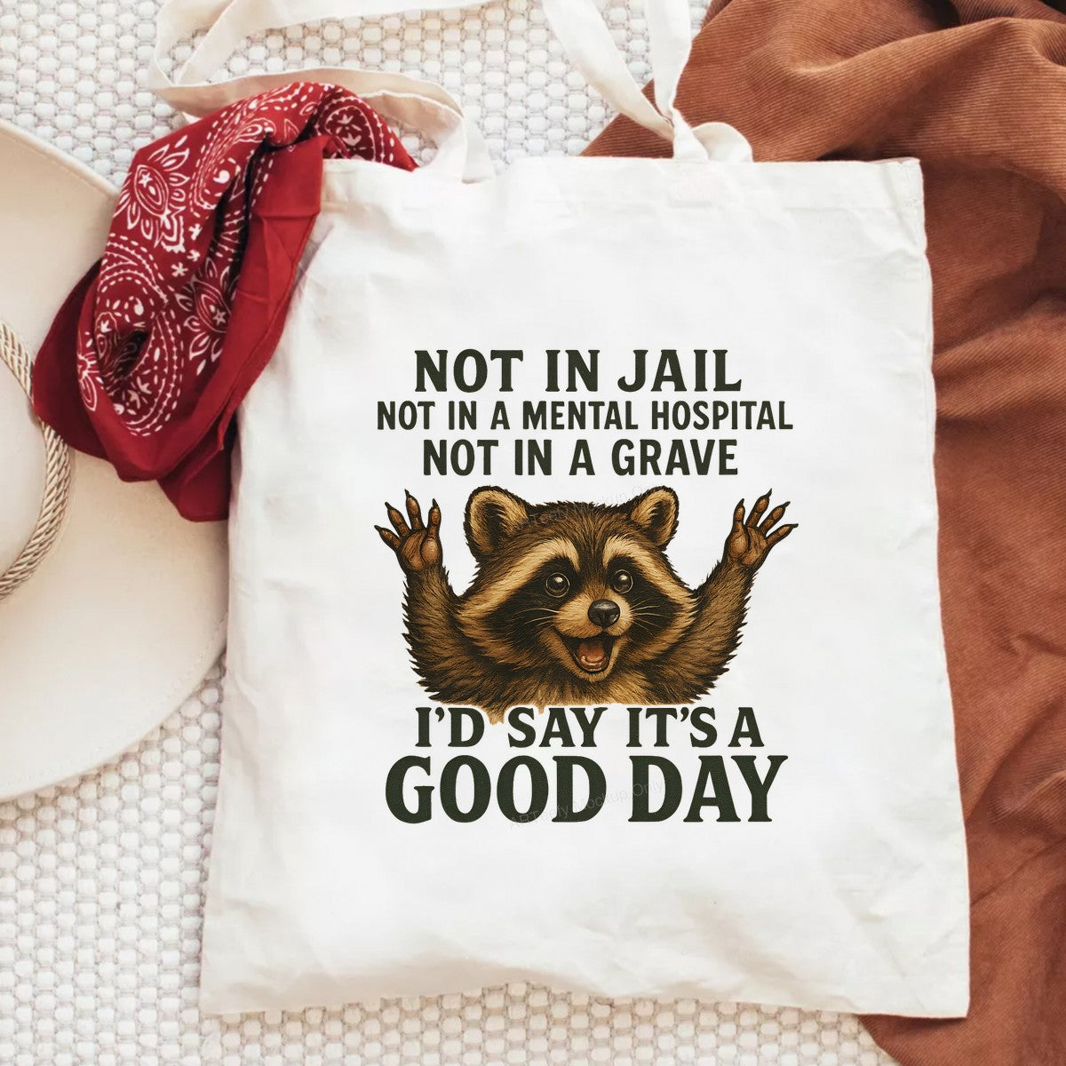 Funny Graphic Transfer Not In Jail Raccoon Good Day Quote Cartoon Design for T Shirts Hoodies and Gifts - 6