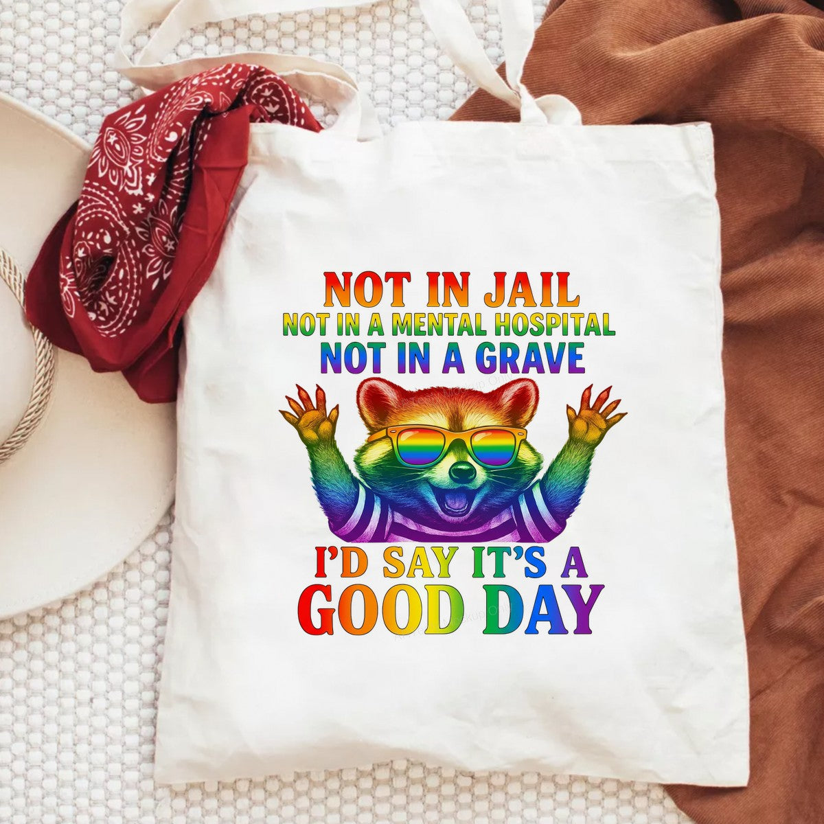 Funny Graphic Transfer Not In Jail Not In A Mental Hospital Not In A Grave Quote Rainbow Raccoon Design for T Shirts Hoodies and Tote Bags - 6