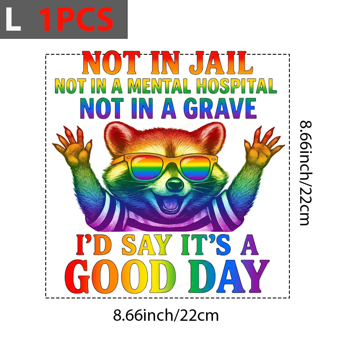 Funny Graphic Transfer Not In Jail Not In A Mental Hospital Not In A Grave Quote Rainbow Raccoon Design for T Shirts Hoodies and Tote Bags - 7