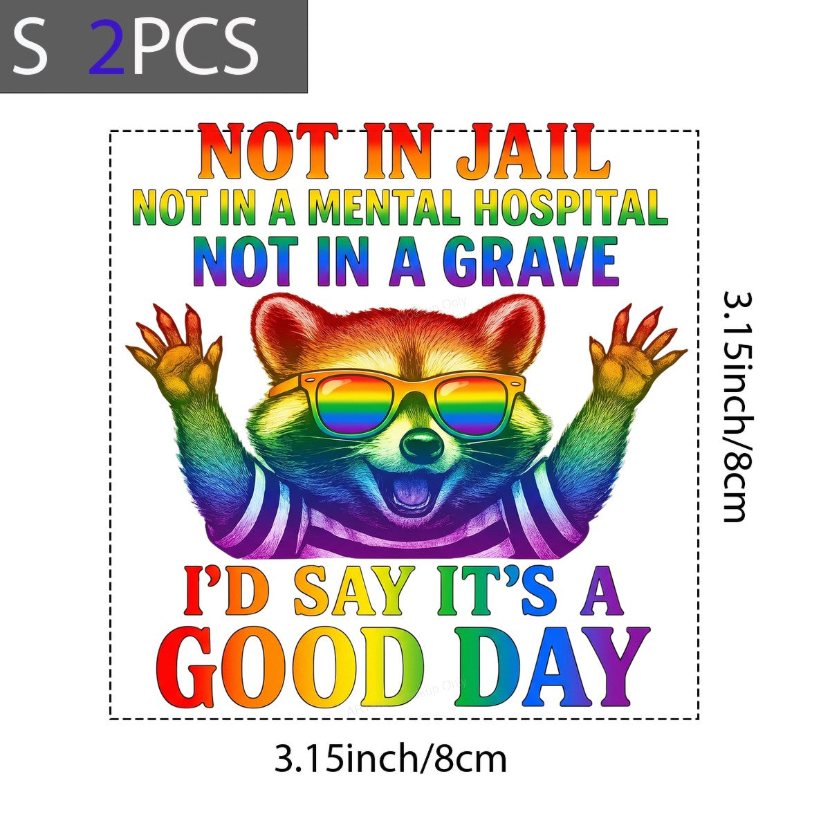 Funny Graphic Transfer Not In Jail Not In A Mental Hospital Not In A Grave Quote Rainbow Raccoon Design for T Shirts Hoodies and Tote Bags - 8