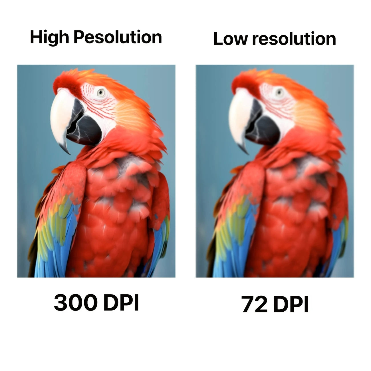 15" Wide Oversize Custom DTF Transfer - product example 2